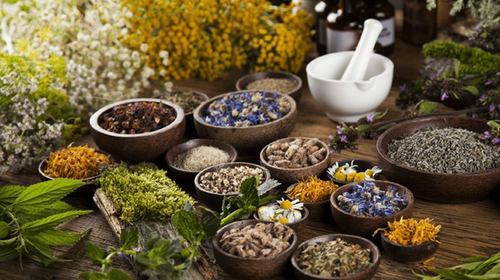 فرآیند گام‌به‌گام ثبت برند گیاهی