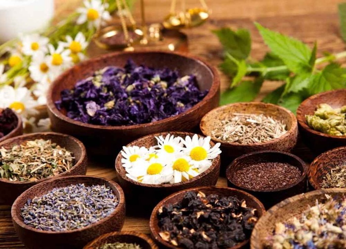 لیست مدارک ثبت برند گیاهان دارویی